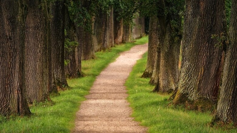 Weg zur Ergotherapie Hämelerwald